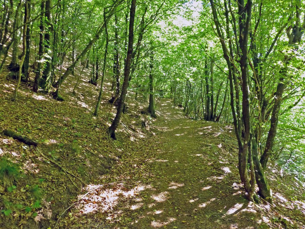 Locanda Le Panche Pistoia Exteriör bild